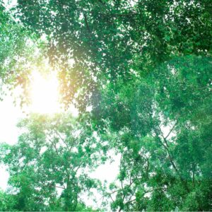 石けんの化学っておもしろい!コールドプロセス製法が環境とお肌に優しいワケ 5 KAGUAROMA SOU image 1 e1761639976345