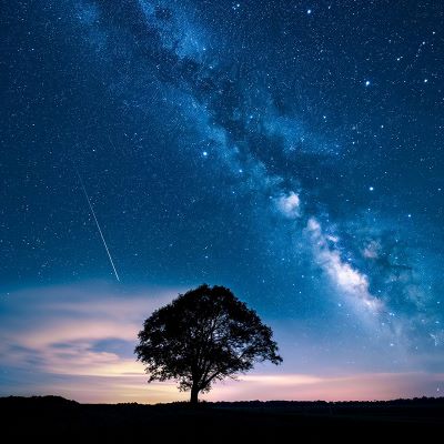 眠れない夜におすすめ｜深呼吸とアロマで自律神経をやさしく整える方法