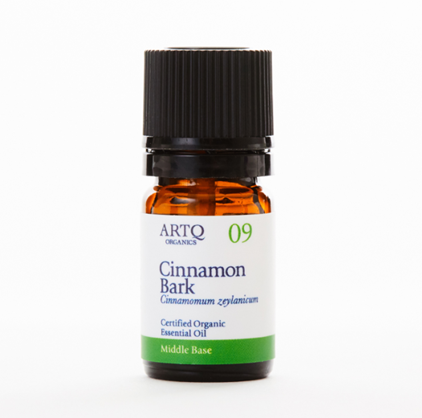 クリスマスの香りガイド|アロマ初心者でも簡単に楽しめる冬の香りの取り入れ方 7 シナモンバーク